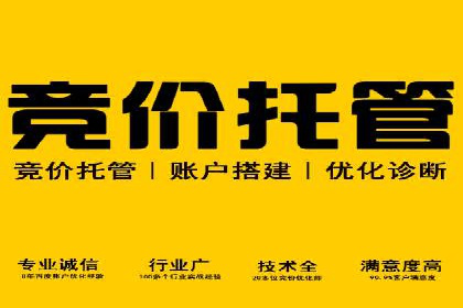 经典案例：SEM代运营服务公司的成功之路